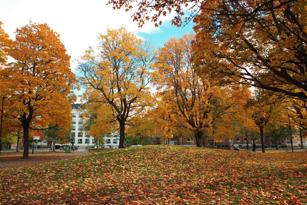 2025.10 Sweden-Uppsala
